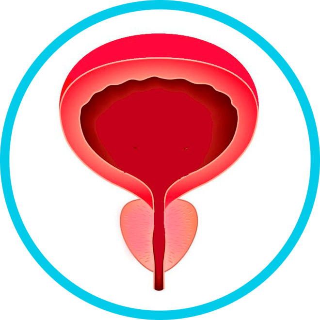 Prevenção da prostatite