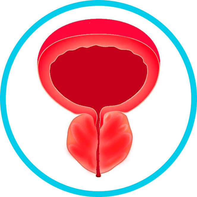 Sintomas de prostatite